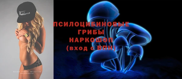 мяу мяу мука Михайлов