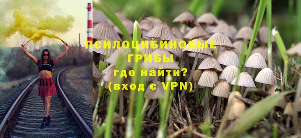 мяу мяу мука Михайлов