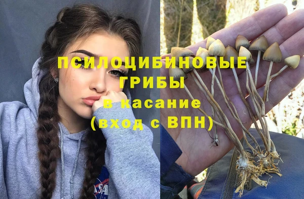 apvp Надым