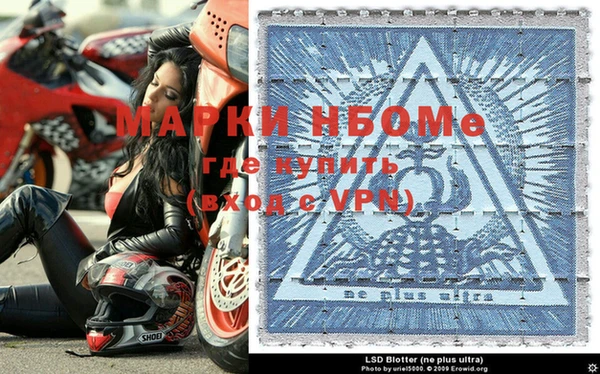 тгк Щигры