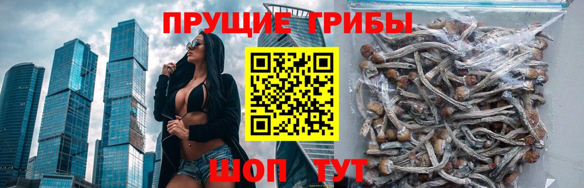 Галлюциногенные грибы MAGIC MUSHROOMS  Вход с VPN  Белгород 